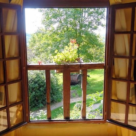 Bed and Breakfast La Boursaie Livarot-Pays-d'Auge Exterior foto